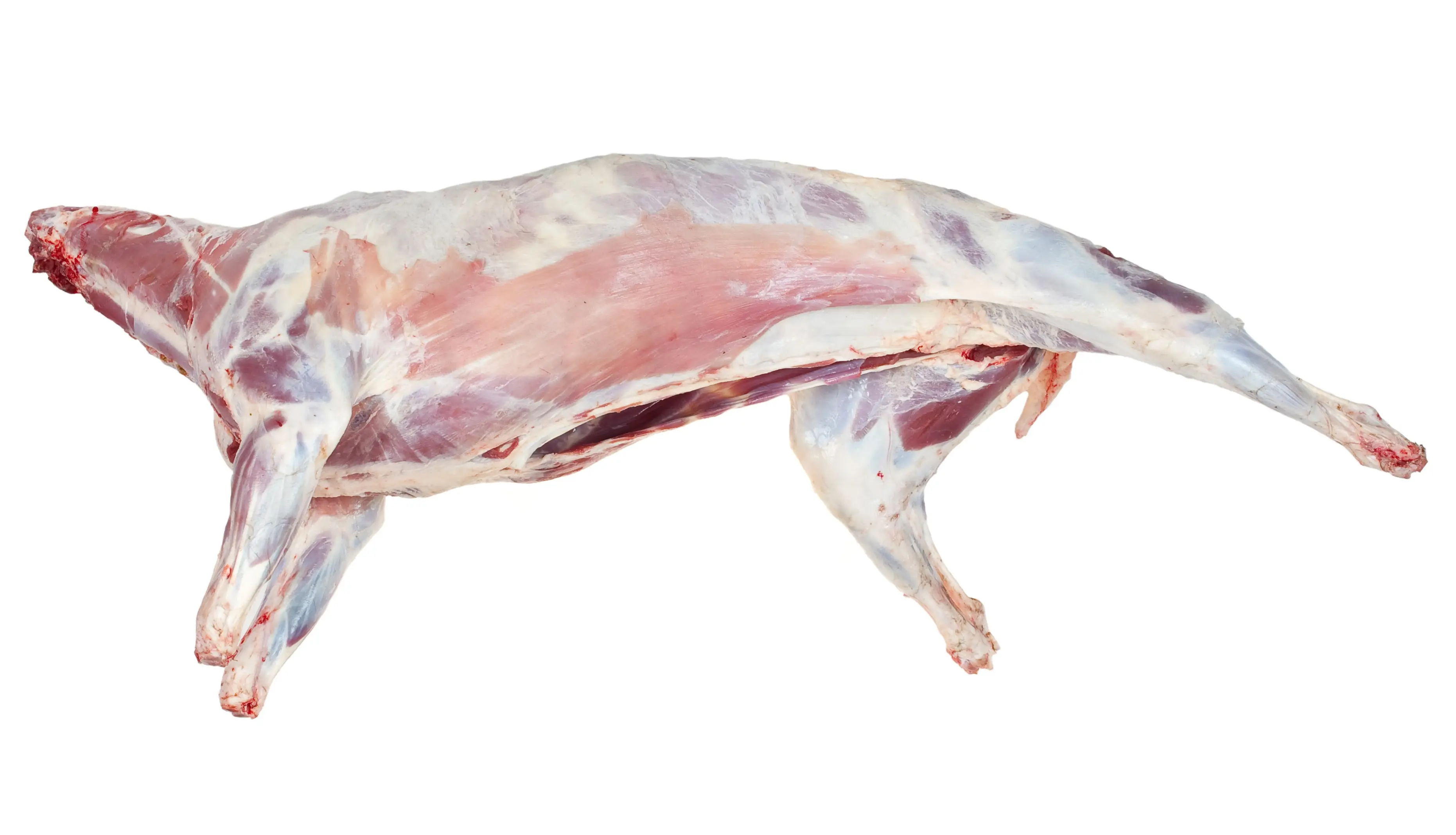 Whole Lamb
