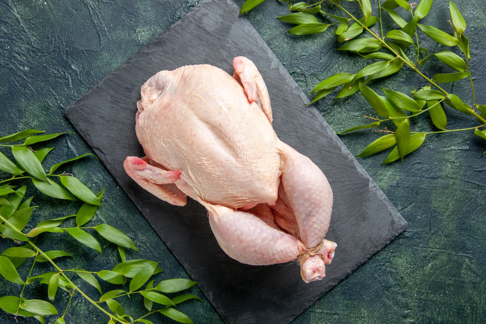 3 Baby Chicken